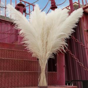 10pcs 40'' White Pampas Grass Tall Decor - Pompas Floral, Tall Pampas Grass for Floor Vases, Living Room Floor, Floor Plants, Plumas para, and Grass Wall Decor (10PCS-White-40")