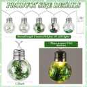Christmas Tree Snow Globe String Lights 6.56 FT 10 LED Xmas Light Balls with 5 Christmas Figurines Constant Vintage Decor Lighting for Indoor Outdoor Xmas Party Decoration(Green)