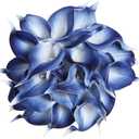 IPOPU 24PCS Real Touch Blue Calla Lily Faux Flowers Arrangement Bouquet for Home Garden Office Party Wedding Bouquet Centerpieces Flower Home Decoration