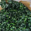 Artificial Boxwood Roll Panels: 40"x 140"(39.2 SQFT) UV-Anti Faux Ivy Leaves Grass Wall for Patio Balcony Privacy, Garden, Backyard Greenery Wall Backdrop and Fence Decor