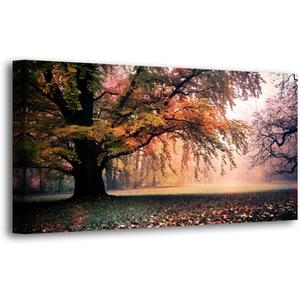 Tree of Life Wall Art Canvas Prints Natural Landscape Picture Home Decor Colorful Forest Paintings for Living Room Bedroom Bathroom Kitchen Decorations 20x40 Wooden Framed Artwork Easy Hanging (40L" x 20W", Colorful Tree of Life)