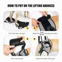 Dog Lifting Harness, Dog Hind Legs Support Strap Pet Recovery Walking Training Lift Strap with Handle for Elderly Injured Amputation Disabled Dogs XL (XL-for 57.3-88.2lb dogs)