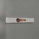 Hyhug Reflective Martingale Dog Collar with Buckle: Escape-Proof, No Slip Heavy Duty Nylon, Colorfast Adjustable Pet Supplies for Small Breeds (Reflective Green, Small)