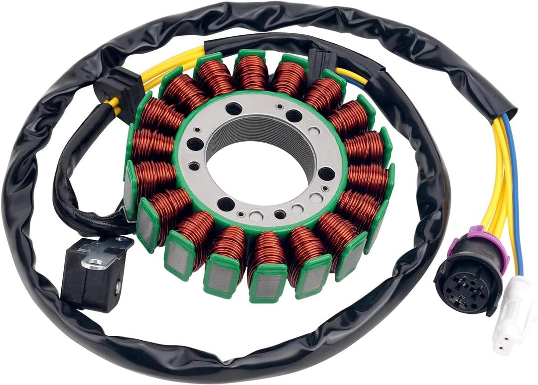 Road Passion 2.1.01.2060 2.1.01.2010 Stator Coil Compatible with Buyang 300 Feishen 300cc Big power, Buyang 300cc ATVs FA-H300, FA-D300-300cc ATV 300B (2x4, 4x4 and 4x4 IRS)
