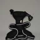 rabbitgoo Dog Harness No Pull with 2 Leash Clips, Adjustable Soft Padded, Reflective Oxford No Choke Pet Vest with Easy Control Handle for Medium Sized Dogs, Black, M