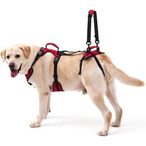 Dog Lift Harness for Extra Large Dogs, Heavy Dog Lifting Support Harness with Dual Handles, Strong Mobility Aid for Arthritis & Injury Recovery, Red, XL