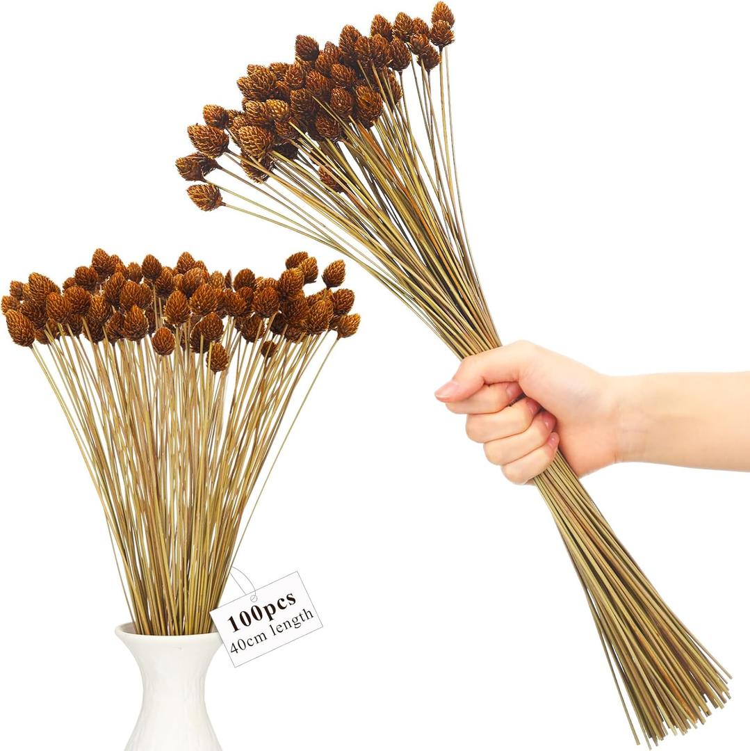 WILLBOND 100pcs Dried Pine Cone Flowers with Stems Natural Mini Dried Flowers Bouquet Bulk 40 cm Billy Ball Decor for Vase, DIY Crafts and Fall Wedding Bridal Shower Home Decoration