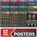 [12-PACK] Laminated Large Workout Poster Set - Perfect Workout Posters for Home Gym - Exercise Charts Incl. Dumbbell, Yoga Poses, Resistance Band, Kettlebell, Stretching & More Fitness Gym Posters