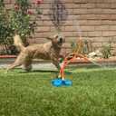 The Wave - The Ultimate Interactive Water Toy for Dogs
