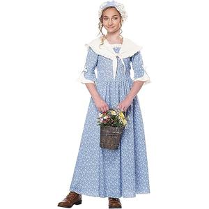 California Costumes girls Colonial Village Girl, Small, Blue/Cream