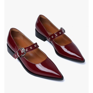 Mary Jane Shoes Women Chunky Low Heels Buckle Strap Pumps Womens Closed Pointed Toe Ballet Flats Causal Daily Dress Shoes Size 8, burgundy