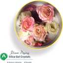wisedry 10 LBS Silica Gel Flower Drying Crystals, 2 Packs of 5 LBS, Fine Crystals < 1mm, Color Indicating, Reusable