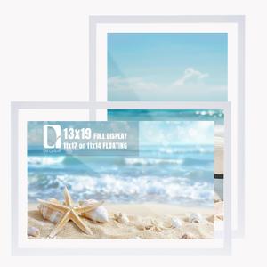 DLQuarts 13x19 Floating Picture Frame for 11x17/11x14 Photos, 2-Pack Solid Wood Double Plexiglass Wall Art Frames, Any Size Photo up to 13x19 Display, White