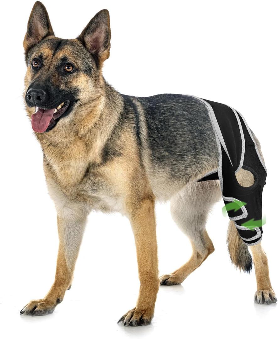 Dog Knee Brace for Luxating Patella, Dog Leg Brace Front, Dog ACL Brace Hind Leg with 6 Metal Strips to Protect Knee Joint, Provide Stable Support and Relief Pain, Help Resume Normal Activities XL