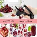 Cherry Pitter, Heavy-Duty Stainless Steel Olive and Cherry Pitters Corer Tool with Space-Saving Lock Design, Multi-Function Cherries Stoner Seed Remover Tool for Making Cherry Jam (Black)