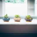 Cute Ceramic Succulent Garden Pots, Planter with Drainage and Attached Saucer, Set of 5 -Plants Not Included (Burner)