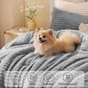 BEDELITE Fleece King Comforter Set -Super Soft & Warm Fluffy Light Grey Bedding, Luxury Fuzzy Heavy Bed Set for Winter with 2 Pillow Cases