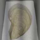 OYSTER SHAPED DIP SET