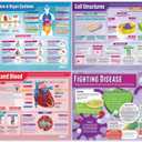 Daydream Education Biology Educational Science Posters – Set of 13 Biology Posters – EXTRA LARGE 33x23 Gloss Paper Classroom Wall Chart for STEM, Middle School, & High School – Science Classroom Decor, 33L" x 23.5W"