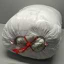 Ultra Soft Queen Size Mattress Topper - Viscose Made from Bamboo Pillow Top Mattress Pad for Back Pain Relief - Naturally Cooling for Hot Sleepers, Green