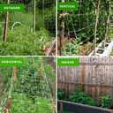 Tcamp Trellis Netting for Plants (5Ft x30Ft, 3.5" Square Mesh Ployester, 2Pack)
