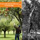 26FT Telescoping Fruit Picker Pole with Basket for Tall Trees