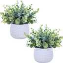 Winlyn Set of 2 Small Artificial Potted Plants Faux Eucalyptus Plant in White Geometric Ceramic Pots Small Desk Potted Plants 7.1" Tall for Home Office Room Decorations Wedding Greenery Centerpiece