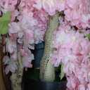 4Ft Tall Artificial Cherry Blossom Tree, Faux Pink Tree with Plastic Nursery Pot,Fake Plants Artificial Plants for Home Office Indoor Decor(Pink)