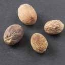 Spicy World Whole Nutmeg Indian Spice, 3.5 Ounce