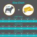 Queenmore Large Recovery Suit for Dogs, Dog Recovery Suit, Pink,XL Breathable Dog E-Collar & Cone Alternative Surgical Suit, Soft Pet Surgical Suit Female and Male