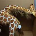 BARMI Stuffed Animal Stuffed Giraffe Plush Large Tall Big Giraffe, Nursery Decorations 60cm/23.62inch