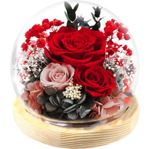 FIACO Gifts for Women Mom Birthday Preserved Flowers in Glass Dome Forever Fresh Flowers for Delivery Mothers Day Eternal Roses Gifts for Grandma Wife Daughter Friends Red