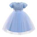TTYAOVO Girl Flower Pageant Princess Party Tulle Dress (2-3T, 2068 Pink Rainbow)