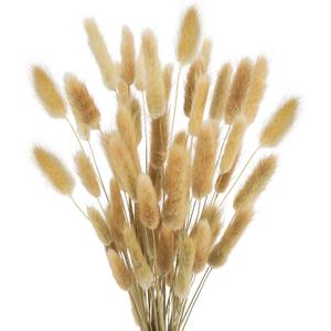 Uieke 17 Natural Bunny Tails Dried Flowers, 50 Pcs Dried Lagurus Ovatus, Dried Brown Pampas Grass Decor for Farmhouse Flower Arrangements Wedding Home Boho Party Decorations