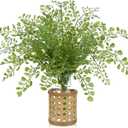 Faux Greenery Stems in Vase Aritificial Fern Plant in Glass Vase with Faux Water & Woven Cover Small Fake Desk Plants Greenery Centerpieces for Farmhouse Kitchen Dinner Tables Shelves Plants Decor