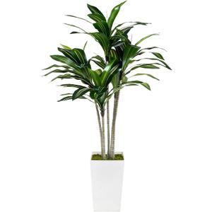 Artificial Dracaena Tree 5FT with White Tall Planter - Faux Tree Tall Fake Floor Plant in Pot-Artificial Plants Indoor for Home Office Living Room Dcor (Dracaena 5ft)