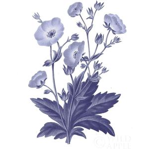 Posterazzi PDX52741LARGE Dark Blue Botanical VI Wild Apple Portfolio Poster Print, 24 x 36, Multicolor