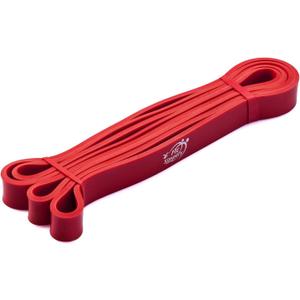 Fit Simplify Pull Up Assist Resistance Bands for Fitness, Physical Therapy, Stretching, Mobility and Exercise (Red)