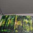 Forest Art Canvas Wall Decor: 3 Panel Nature Wall Art Landscape Paintings Framed Trees Green Pictures Sunrise Scenery Wall Decor for Living Room Bedroom Office Bathroom 12 x 16 Inch