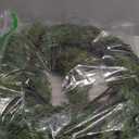 Artificial Norfolk Pine Garlands, Realistic Pine Garland, Green Artificial Greenery Garland for Table, Mantle, Wall, Indoor, Winter Christmas Decorations, Holiday Party Home Decoration (1, 9FT)