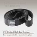 VAINELY 3288689 8V Ribbed Belt Compatible with Cummins 4BT 3.9L 6BT 5.9L QSB ISB Engine Applications, Replacement Part for Excavators Loaders Trucks Ships and Other Equipment