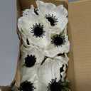 Censen 42 Pcs Artificial Poppy Flowers Bulk PU Silk Poppy Flowers 11 Inch Anemone Stems Artificial Floral Table Centerpiece Decor for Halloween Wedding Home Party Veterans Supplies(White)