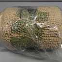 Muddy Mat | Super Absorbent Door Mat Indoor, Microfiber Quick Dry Chenille Entryway Rug, Non-Slip Front Door Mat, Indoor Mats for Entryway, Machine Washable Pet Rug, Beige 24"x72."