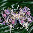 MU 3D Metal Puzzles for Adult Flower and Butterfly B-Nige, Insects Animals Floral Puzzles Metal Model Kits Building,Birthday Gift Brain Teaser DIY Sets Home Decor