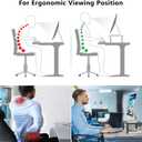 WALI Computer Monitor Stand for Desk, Adjustable Laptop Riser, Desk Monitor Stand Underneath Storage for Office, Home, School Supplies (STT003), 1 Pack, Black (Basic)