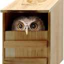 Owl House Cedar - Prebuilt Barn & Screech Owl Nesting Box - Easy Hang & Clean - Wood Shavings & Screws Included