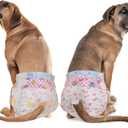 Dono Dog Diapers Female Large Breed-48PCS, Disposable Female Dog Period Diapers for Heart with Wetness Indicator, Super Absorbent Doggie Puppy Diapers Female for Small Medium Large Dogs