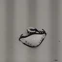 Under Armour Football Helmet Chin Strap, Adjustable Straps, Youth & Adult (White/ Black)