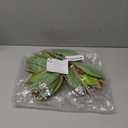 6 Pcs Green Peppermint Edge Christmas Poinsettia Stem 10.24 x 3.94 Inch Silk Velvet Artificial Fake Poinsettia Flowers Blooms for Christmas Trees and Holiday Decorations