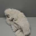 PRETTYGARDEN Women's 2026 Winter Coats Fleece Cropped Jacket Faux Fur Long Sleeve Pockets Shaggy Warm Outerwear Fall Clothes, M